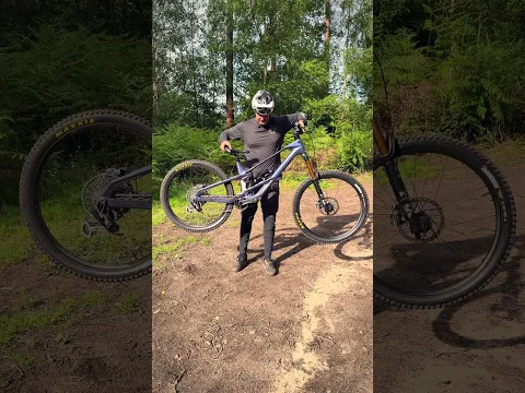 New Orbea Avinox