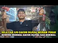 Download Lagu CAK IJO GACOR DIJUAL MURAH PISAN DIKIOS HAJI SUWARNO PASAR BURUNG PRAMUKA TERBARU HARI INI