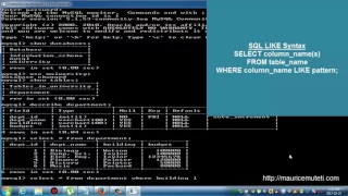 Structured Query Language Tutorial SQL Part 16 LIKE Operator Command Prompt Console