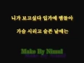 SS501 Because i'm stupid lyrics korean