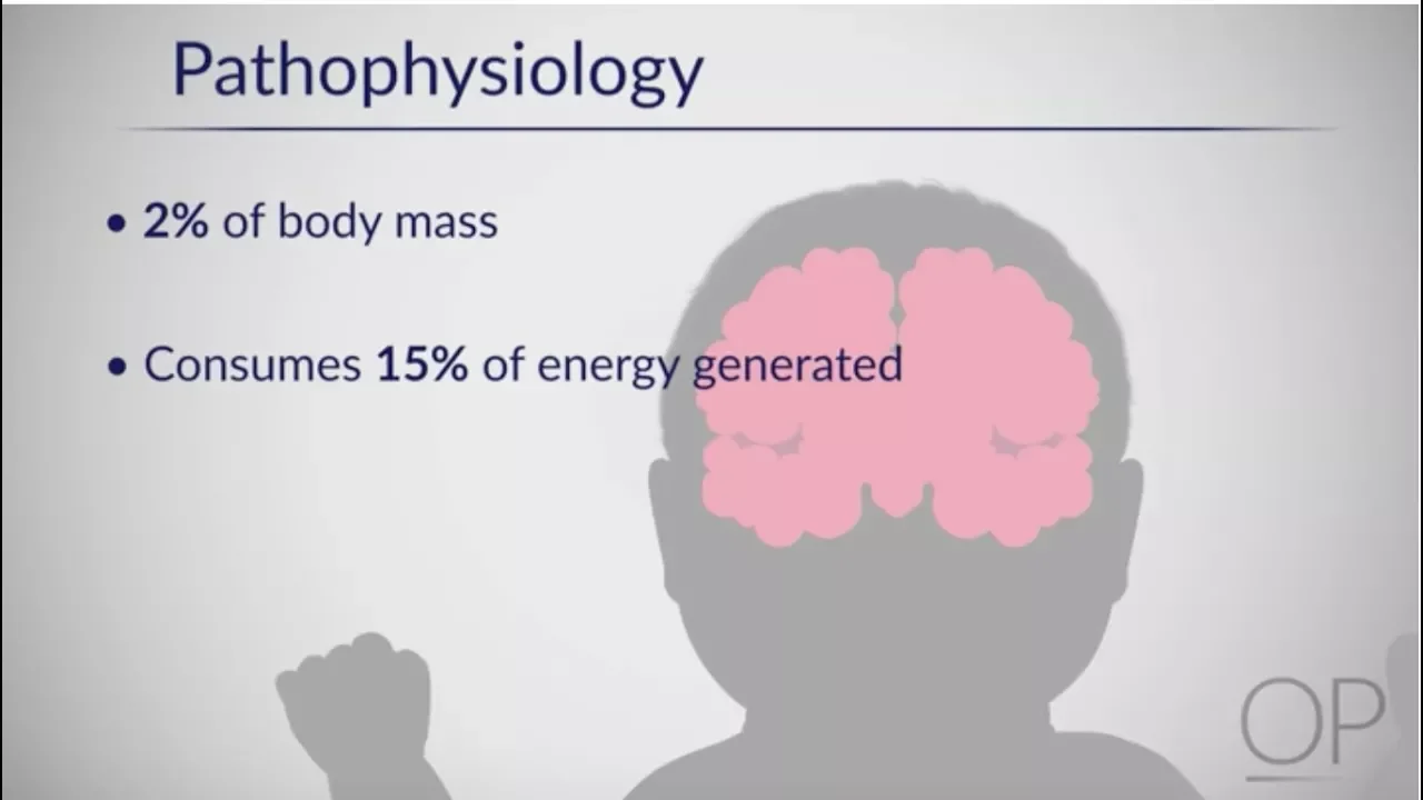Therapeutic Hypothermia: Treatment of Hypoxic Ischemic Encephalopathy Part 1 by D. Casey