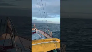 Offshore Encounter