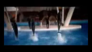 کمال قادری که مال قادري Kemali Qadiri 