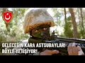 Kara Astsubay Meslek Yuksekokulu Yil Sonu Tatbiki Askeri Egitim Kampi