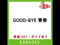 GOOD-BYE 青春 (カラオケ) (原曲歌手:長渕剛)