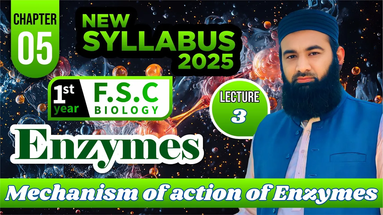 Mechanism of action of Enzymes | Enzymes | Chapter 5: F.Sc. 1st Year Biology | Lec# 3