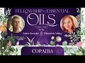 Discover The Hidden POWER of Copaiba Essential Oil