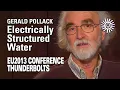 Download Lagu Gerald Pollack: Electrically Structured Water | EU2013
