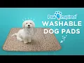 Washable Dog Pads Paw Inspired Pee Pad and Training Pad
