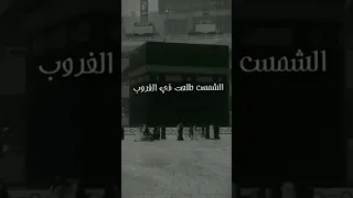 قلبك حنين يانبي وائل جسار محمد الشريف 