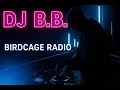 Download Lagu DJ B.B. Birdcage Radio