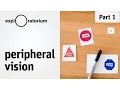 Test your peripheral vision and discover the outer limits of your eyes - Science Snacks activity