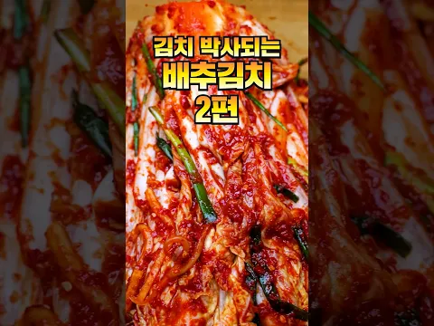 역대급 배추김치 2편