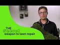 Why Grass Plugs Are the Smartest Way to Grow a Lawn