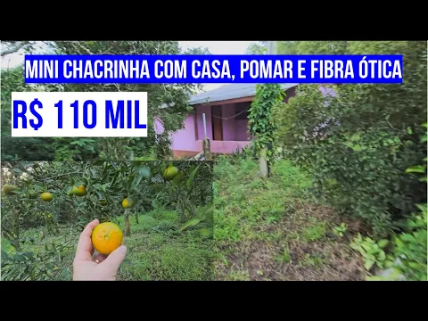 Download MP3 [482]MINI CHACRINHA  COM CASA , POMAR, LUZ, FIBRA ÓTICA E ÁGUA ENCANADA EM SANTO ANTONIO R$ 110 MIL