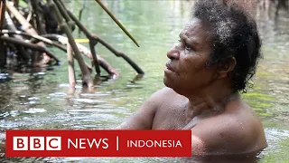 Download 'Surga kecil yang dirusak manusia’: Hutan Perempuan di Papua - BBC News Indonesia MP3