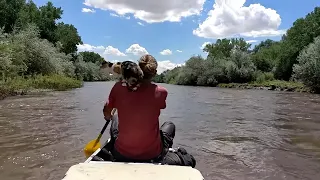 19-04_Floating a River with a Cat and a Dog (sailing ZERO)