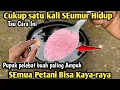 Download Lagu Cukup Satu Kali Seumur Hidup Tau Cara Ini !! Semua petani bisa kaya-raya -Pupuk organik cair