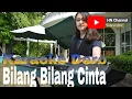 Download Lagu Karaoke Dero Bilang bilang cinta Bilang Bilang sayang