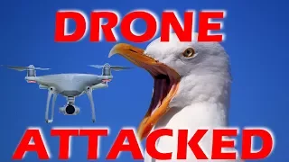 DRONE ATTACKED!  –  Sailing Doodles