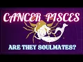 Cancer and Pisces Relationship Compatibility Exploring the Deep Emotional Bond