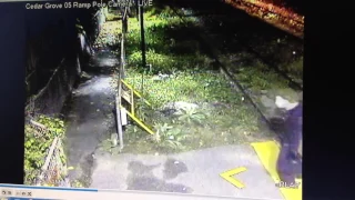 Cedar Grove assault
