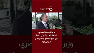 وزير الخارجية المصري الدولة المصرية تبذل جهدا كبيرا لتثبيت اتفاق وقف إطلاق النار في غزة 