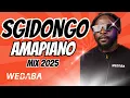 Download Lagu SGIDONGO MIX | AMAPIANO 2025 | DJ WEBABA