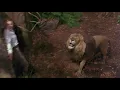George of the Jungle (LIVE ACTION THEME SONG)