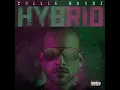 Love & Reggae - Collie Buddz