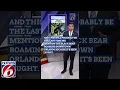 News for June 7 2023 Woman arrested in deadly Marion County shooting black bear caught