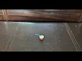 Supreme Fireworks - Strobe Flash Pot