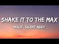 Download Lagu Moliy , Silent Addy - Shake it to the max (Official Lyrics).