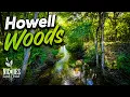Howell Woods NICHES Indiana Hidden Gem