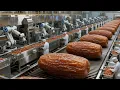From Date Palm to Packaged Dates Inside a Modern Dates Processing Factory 4K
