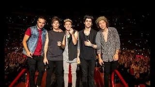You I One Direction Where We Are 2014 At San Siro 