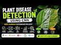 Plant Disease Detection Using CNN Deep Learning Internship Project iBase Python TensorFlow