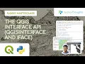 The QGIS Interface API QgisInterface and iface - PyQGIS Masterclass