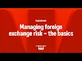 Managing foreign exchange risk - the basics