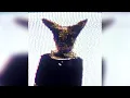 Scarydream!* - Урон (p. enteernal x blessque1)