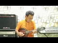 Download Lagu Mandolin Cover \