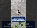 Anak hampir tenggelam, pria ini loncat ke sungai untuk menyelamatkannya😮❤️❤️
