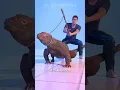 Download Lagu komodo dragon crashout [Block Tales]