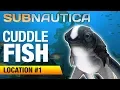 Cuddlefish Egg Location 1 SUBNAUTICA