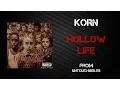 Download Lagu Korn - Hollow Life [Lyrics Video]
