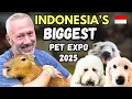 Lagu Searching for EXOTIC PETS in Indonesia (IIPE)