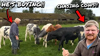 WE ARE BUYING CATTLE!!!... AND CHASING AROUND RUN AWAY COWS!