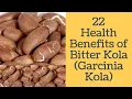 22 Health Benefits of Bitter Kola Garcinia Kola - Use of Bitter Kola for Natural Treatments