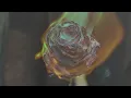 Eli & Fur - Fire To Fire (Ben Yang Remix)