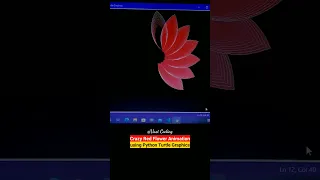 Crazy Red Flower Animation using Python Turtle Graphics Wait till end VastCoding